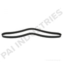 SERPENTINE BELT 3911566