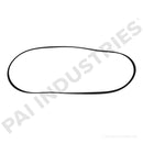 SERPENTINE BELT 3911563