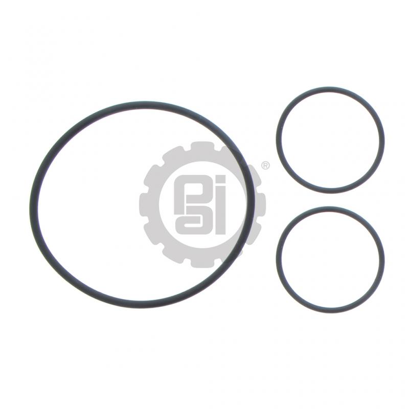 O-RING 1873909C1