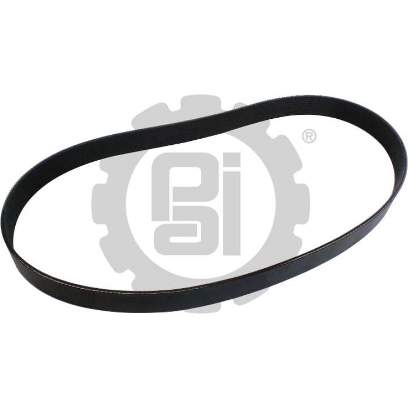 SERPENTINE BELT 01-24894-004