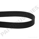 BELT SERPENTINE 21556637