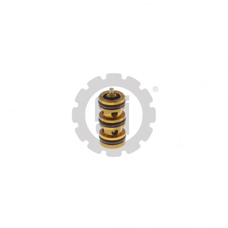 INSERT VALVE 19974