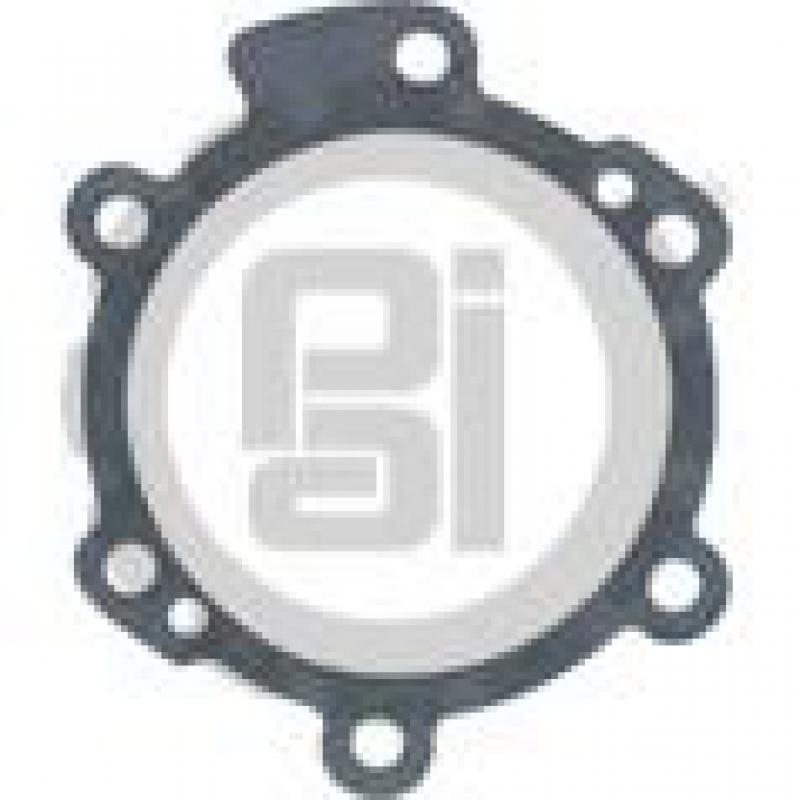 BEARING GASKET 4302247